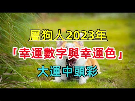 2023 狗 顏色